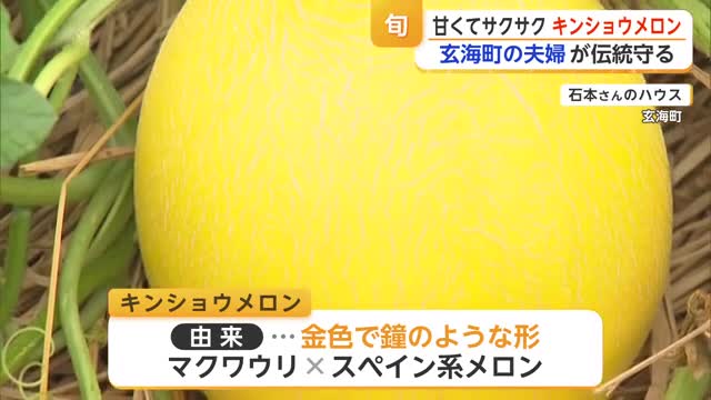 甘さ18度“サクサク食感”キンショウメロンが旬を迎える　生産農家は1組の夫婦だけ【佐賀県】