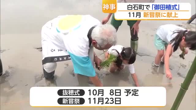 「名誉であり光栄」白石町で新嘗祭に献上するコメの苗植える「御田植式」　【佐賀県】